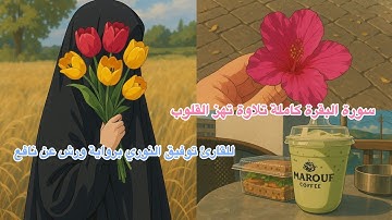 سورة البقرة كاملة تلاوة تهز القلوب للنوم و الراحة النفسية للقارئ توفيق النوري برواية ورش عن نافع