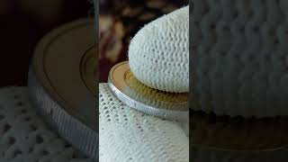 Super rare Estonian 2 Euro coin 2020 #money #coin #numismatics