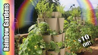 Whats Growing in June?