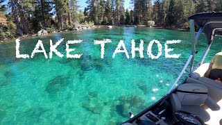 Boating the 1644ft deep Lake Tahoe.  + Bear tries to steal cookies.