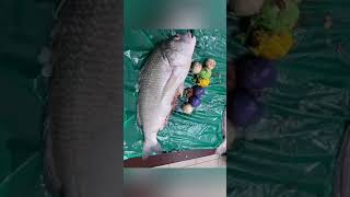 مطار الكويت رجال جمارك الشحن الجوي يتمكنون من ضبط أسماك واردة من إيران وبداخلها كمية من المخدرات.