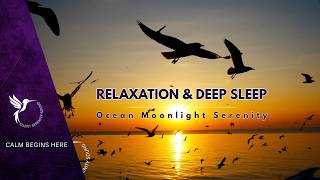 Ocean Moonlight Serenity ๐ Soft Piano Relaxation for Deep Sleep 1 Hour