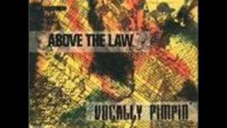 ABOVE THE LAW -  B.M.I