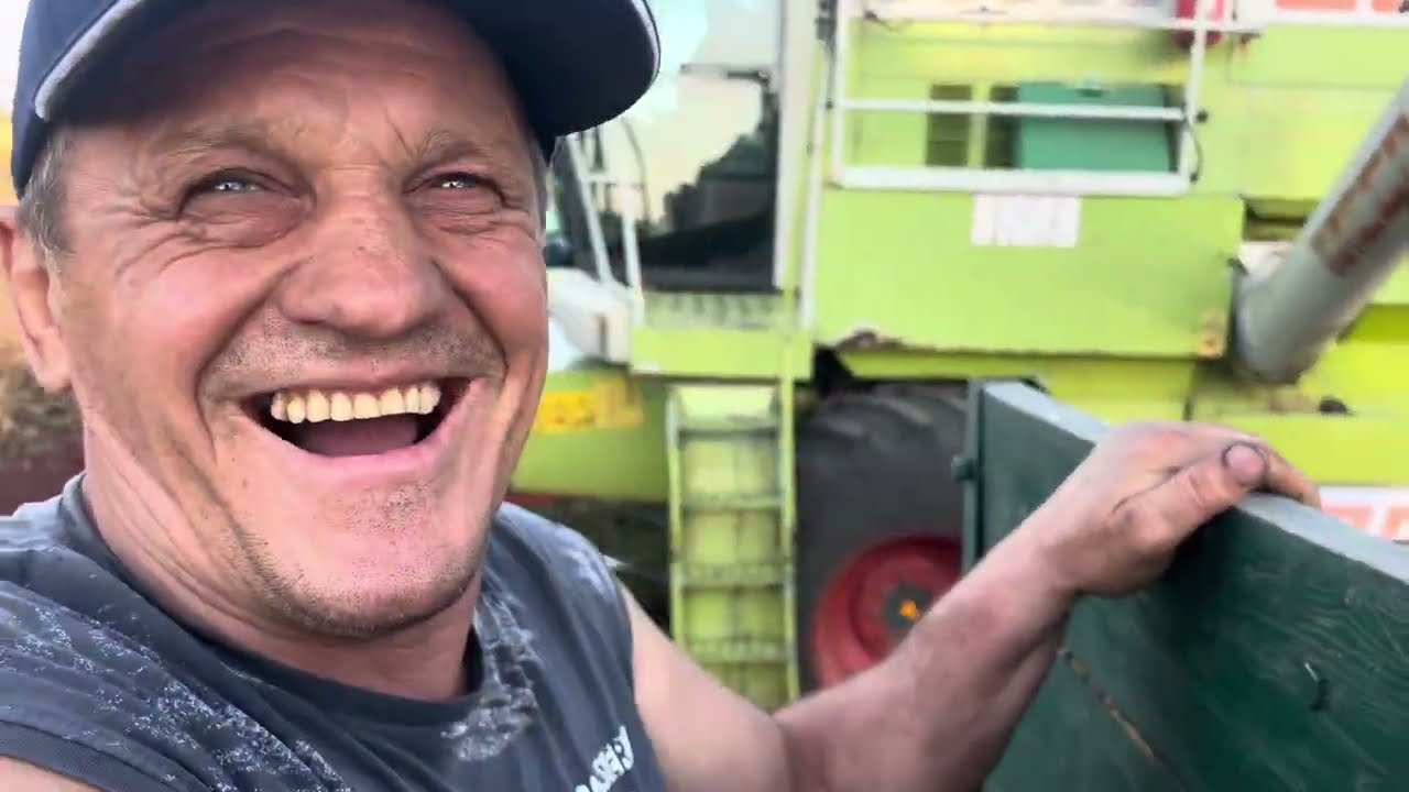 Жнива 2024 продовжуються🌻‼️Піонер ЛП170 та Сингента Толенто👍 Вологомір зламався❓