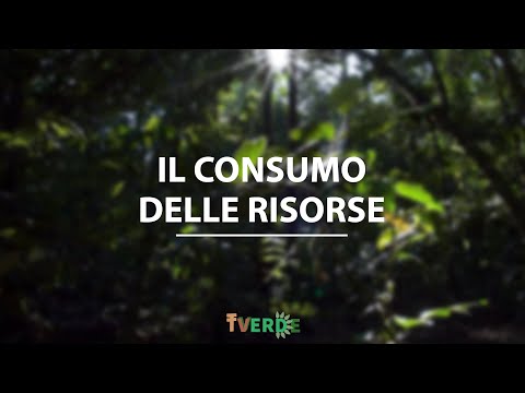 Video: Potenziale delle risorse naturali e sua importanza per l'economia mondiale