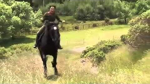 KQED Spark - Ballet Afsaneh