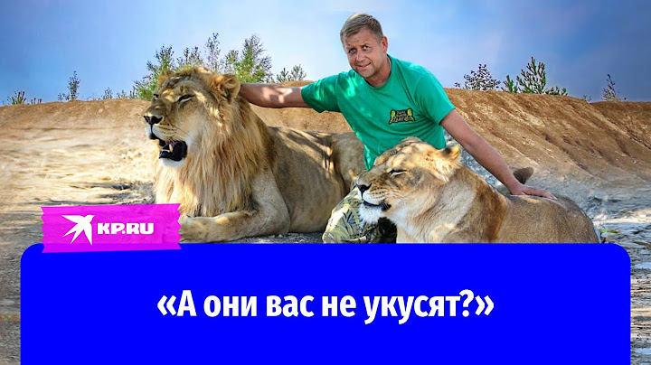 За секунды до нападения льва: появилось видео, как директор парка «Тайган» кормит хищников
