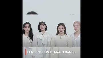 BLACKPINK joins call for climate action