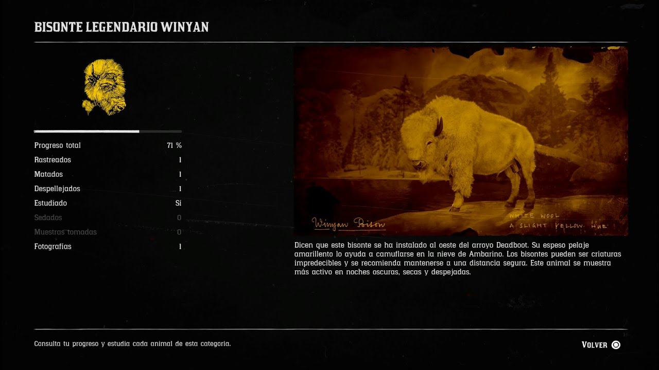 Red Dead online BISONTE LEGENDARIO WINYAN - YouTube