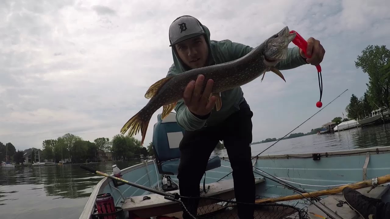 Gibraltar Canals Fishing YouTube