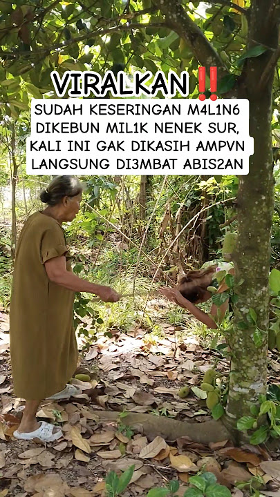 nenek lansi4 tak beri ampun lagi perempuan tukang m4lin6 dikebun miliknya #shorts #viral #funny