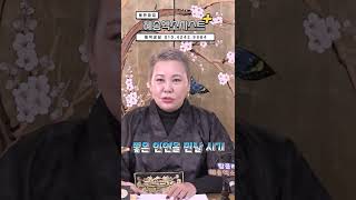 (용한점집) 2023년 개띠총운세 XX로 본인이 빛난다 대구용한점집/혜송엑소시스트