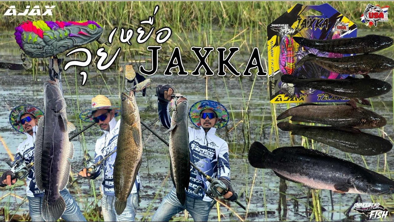 ตกปลาช่อนชะโด เหยื่อแจ๊คก้า กบยางอาแจ๊ค