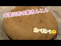 【番外編】中津川市の栗きんとん食べ比べ