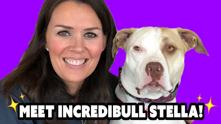 Meet Inspirational Incredibull Stella- Life-saver,...
