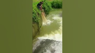 Catching BIG Fish with Cast Nets Made EASY