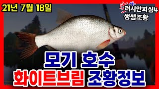 러시안피싱4│210718 모기호수 화이트브림 찌낚시 조황정보 seizegame 씨즈게임 screenshot 5