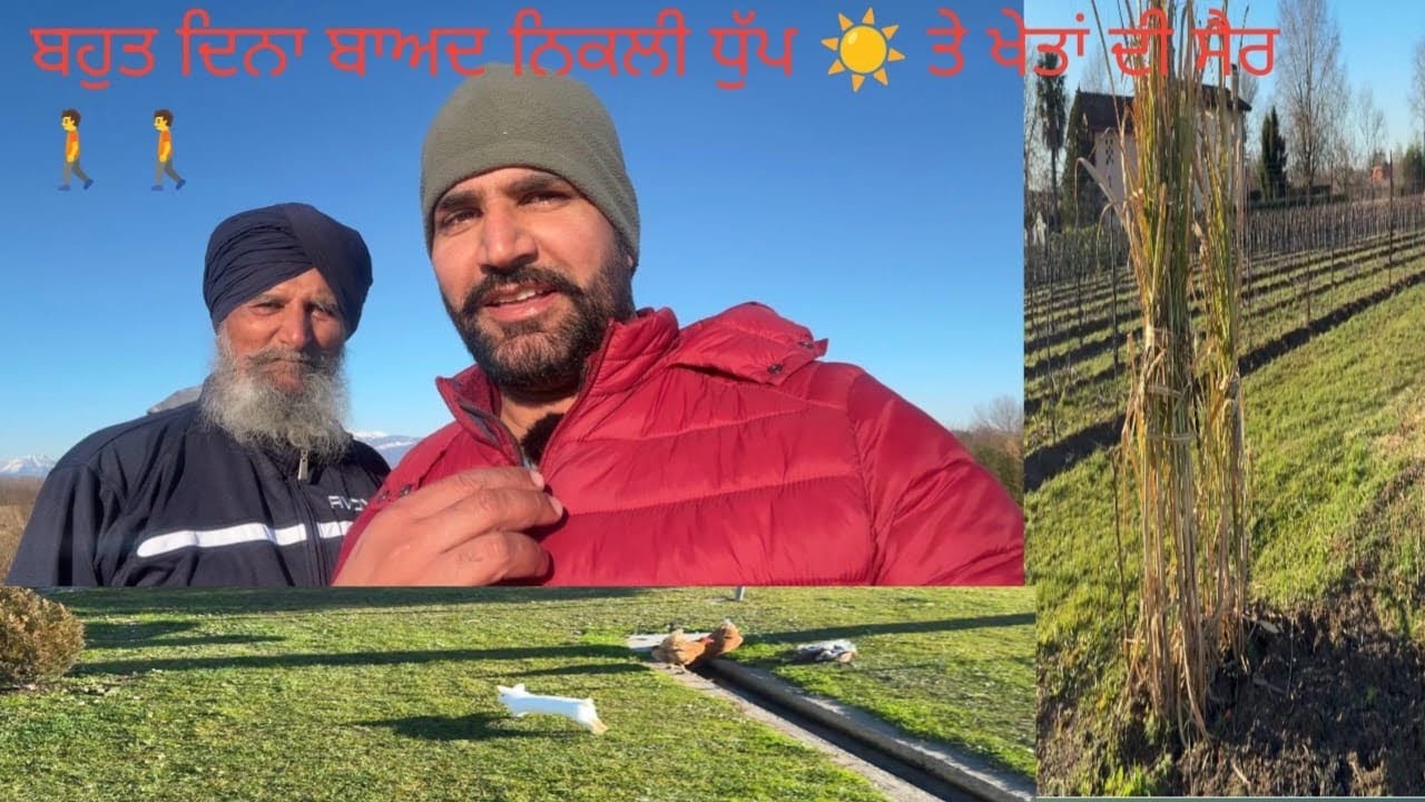 ਬਹੁਤ ਦਿਨਾਂ ਬਾਅਦ ਨਿਕਲੀ ਧੁੱਪ ☀️ ਤੇ ਖੇਤਾਂ ਦੀ ਸੈਰ 🚶🇮🇹🇮🇹