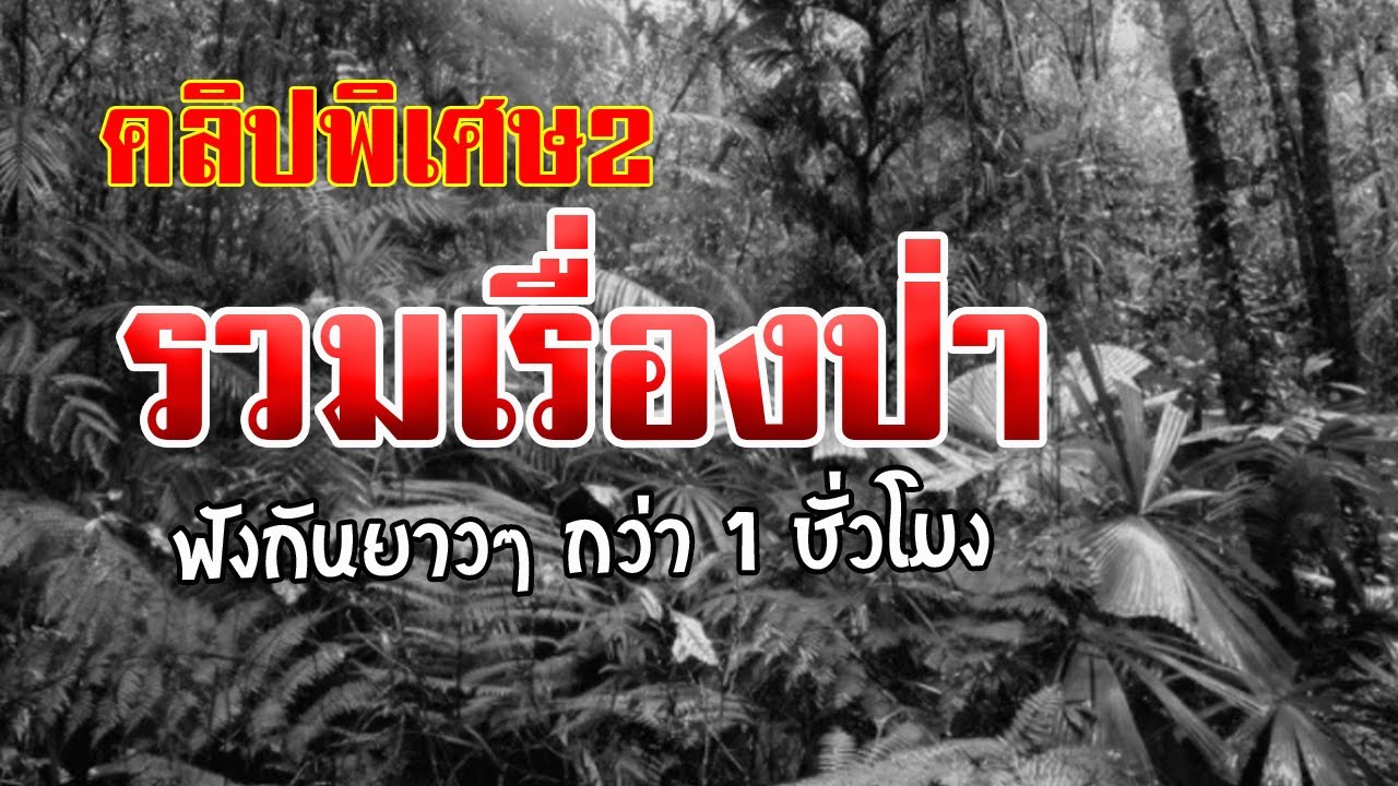 #คลิปพิเศษ2 รวมเรื่องป่า ฟังกันยาวๆ กว่า 1 ชั่วโมง
