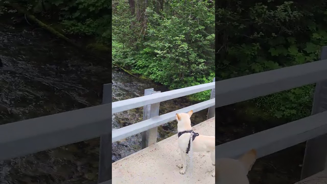 Wells Gray provincial park BC, Canada 32