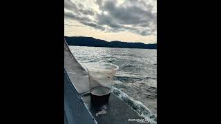 Download Lagu Karaoke Shandy Sandoro End of The Rainbow MP3