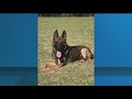 Floyd County Police announce beloved K-9's retirement