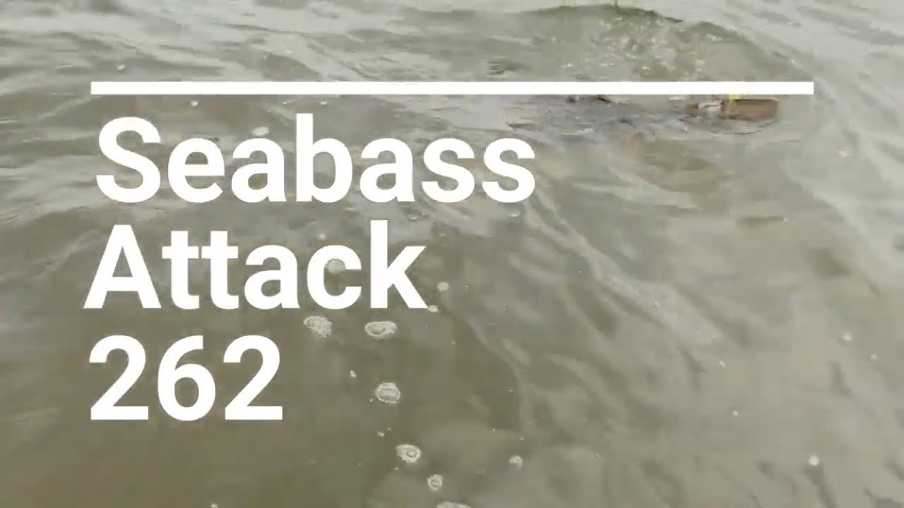 Daiwa アルミ サーフ スタンド 300 Youtube