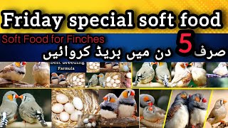 How to make Soft Food for Finches | Easy & Healthy Homemade Breeding Formula / breeding farmula 