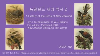 뉴질랜드 새의 역사 (2)