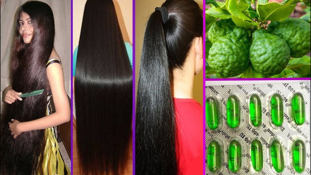 Kaffir Lime for Extreme Hair Growth, Stop Hair Loss How to Grow Long