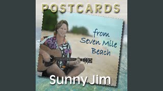 Video thumbnail of "James "Sunny Jim" White - Little Victories"