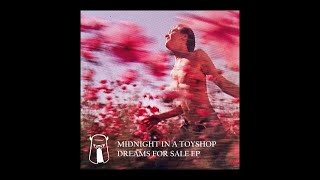 Midnight In A Toyshop - 90S Memento