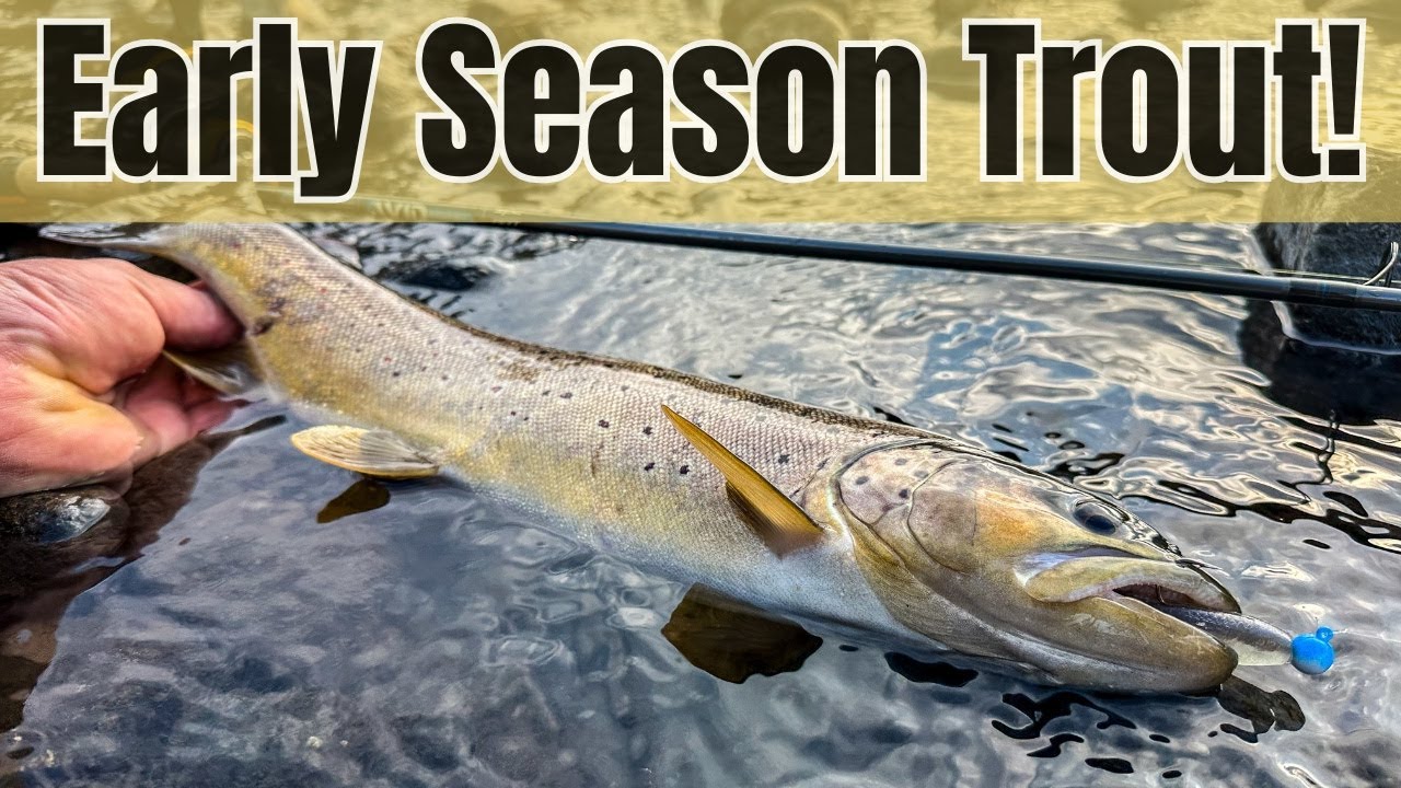 tsunami airwave 10' surf rod Tsunami airwave elite surf rod review !