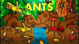 Ants 🐜 SPECIAL #11