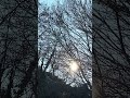 Calming 1-min Breath Awareness practice | Clear the Clutter Holistic #Breathwork #Shorts
