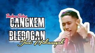 CANGKEM BLEDOGAN - Versi Juni Ardiansyah_Live karaoke LYSNA TYANO