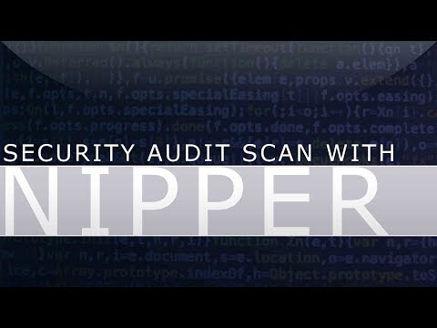 Security Audit Using NIPPER-NG