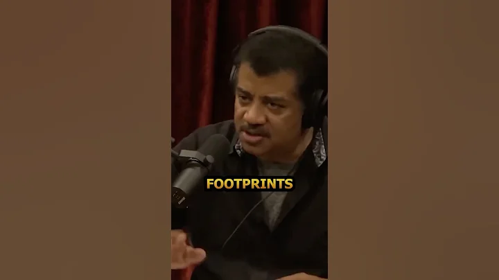 Bear, or no bear? 🐻👀 #neildegrassetyson #physics #science