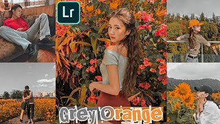 Grey Orange Preset - Lightroom Mobile Presets Free dng screenshot 4