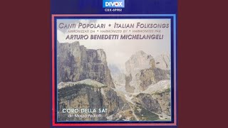 Video thumbnail of "Coro della Sat - Entorno al foch (Arr. A.B. Michelangeli)"