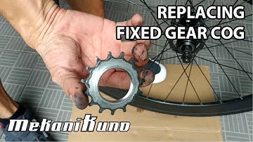 How To Replace A Fixed Gear Cog