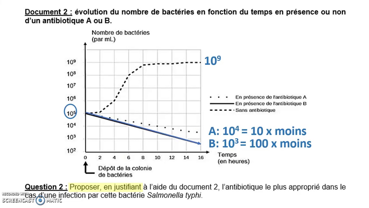 3ème: Correction DNB Sujet Typhoide - YouTube