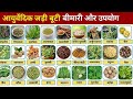 आयुर्वेदिक जड़ी-बूटियां और उनके फायदे | 60+ Powerful Ayurvedic Herbs &amp; Uses 🌿