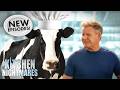yes the food is bad but maybe gordon needs to moo-ve on 🐄 | NEW Kitchen Nightmares COMPILATION