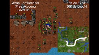 Tibia Guide 2025 (EK) -  Hunt Wasp - Ab'dendriel ‐ Free Account