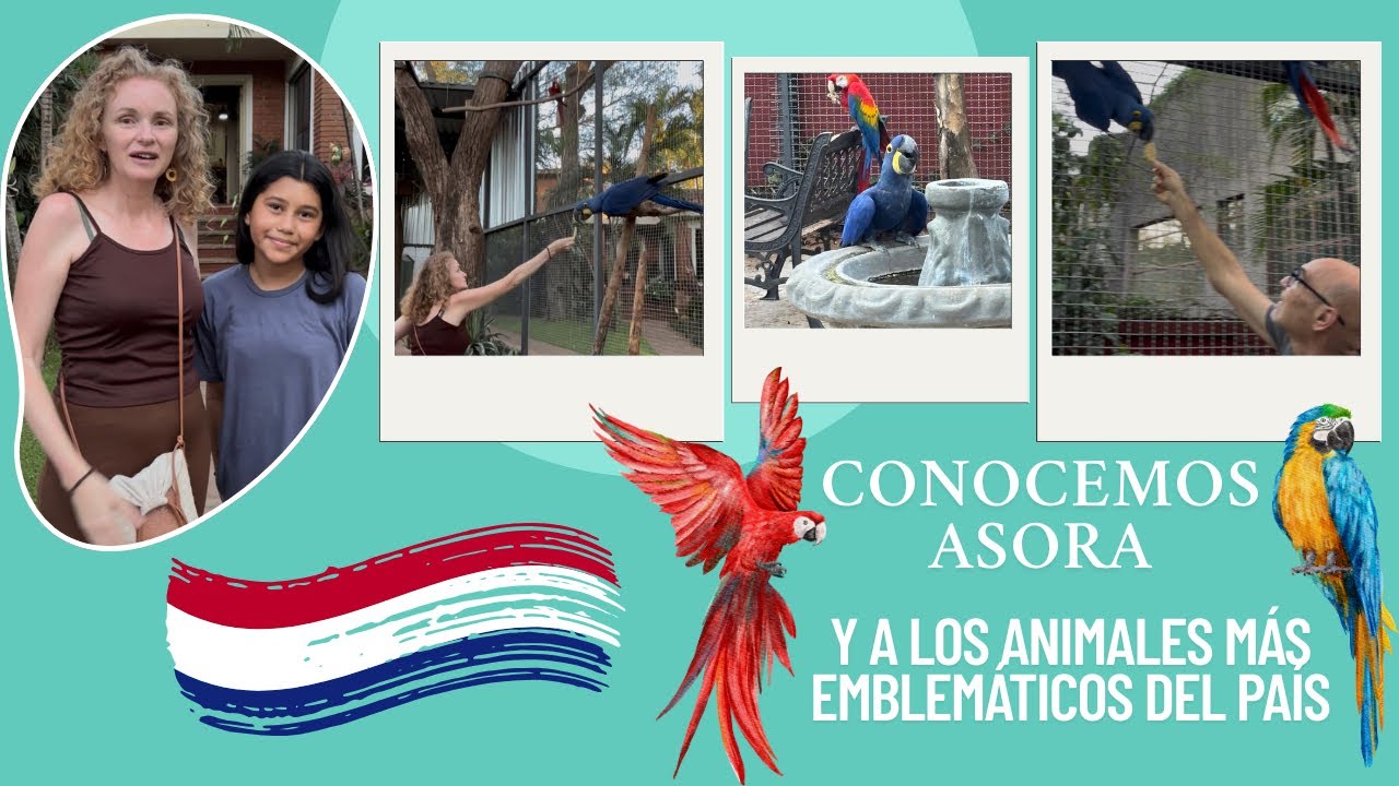 Conocemos Asora |Y a los animales más emblemáticos del país 🇵🇾🦜❤️