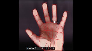 Rhino 7- SubD Hand Challenge