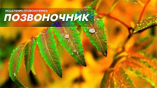 Исцеление позвоночника. НОВЫЙ Саблиминал. Скрытые Аффирмации.