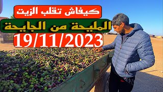 سوق الزيتون🫒🇲🇦 19/11 كيفاش تقلب المليح ماشي الزيتون الجايح أو العطشان باش اطلع الزيت الرخيصة