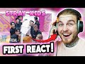 FIRST REACT To Stray Kids &quot;CASE 143&quot; M/V (I LOVE THIS!)